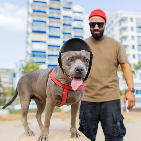 NUOBESTY Pet Funny Hat Baseball Cap Helmet Plastic Playes Pet Cap Helmet Hard Funny Pet Cap Construction Dogs Accessories Dog Helmets Decorative Cat Hat Dog Riding Helmet Puppy Abs in Saudi Arabia