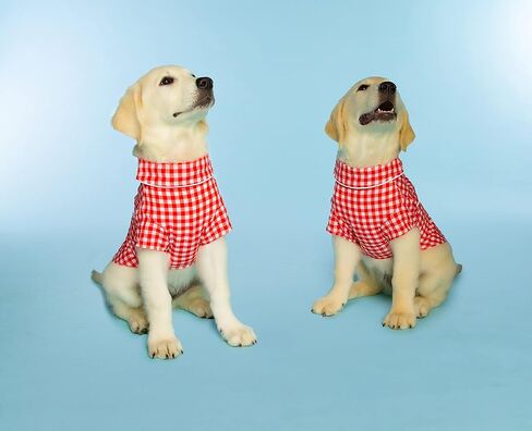 Doggy Parton Red Gingham Western Collared Shirt for Pets - XS in Saudi Arabia
