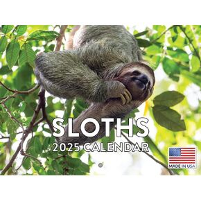 Sloth Calendar 2025 Sloth Gifts Monthly Wall Calender 12 Month | American Made In The USA