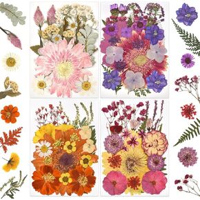 DALARAN 100Pcs Purple Dried Pressed Flowers for Resin Molds Real Pressed Flowers Dry Leaves Kit for Art Crafts Resin Jewelry Making Scrapbook Supplies Card Making Soap Candle DIY
