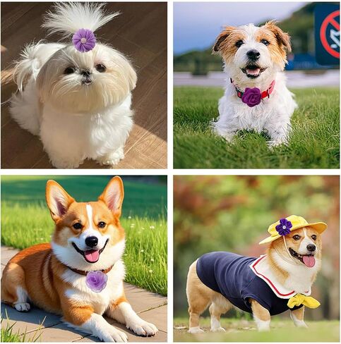 12 PCS Purple Dog Flowers Flowers Cat Flower Flower Flower Sofmishenment مع زخرفة قابلة للفصل مع فرقة مطاطية مرنة سحر ربطة عنق الشيفون للحيوانات الأليفة حفلات عيد ميلاد حفلات الزفاف in Kuwait