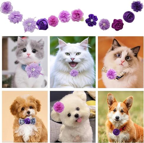 12 PCS Purple Dog Flowers Flowers Cat Flower Flower Flower Sofmishenment مع زخرفة قابلة للفصل مع فرقة مطاطية مرنة سحر ربطة عنق الشيفون للحيوانات الأليفة حفلات عيد ميلاد حفلات الزفاف in Kuwait