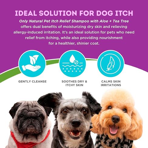 Only Natural Pet Itch Relief Spray with Aloe + Tea Tree for Dogs, Anti Itch Spray for Dogs Allergies to Soothe Dry Irritated Skin and Itchy Skin Relief - 8 oz in Saudi Arabia