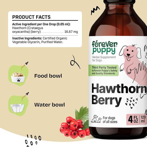 Hawthorn Berry Tincture for Dogs - Antioxidant Support Drops for Dogs w/Hawthorn Berry - Liquid Heart Health Supplement for Happy Pets - No Preservatives & Artificial Colors - 4 oz in Saudi Arabia
