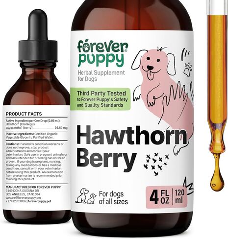 Hawthorn Berry Tincture for Dogs - Antioxidant Support Drops for Dogs w/Hawthorn Berry - Liquid Heart Health Supplement for Happy Pets - No Preservatives & Artificial Colors - 4 oz in Saudi Arabia