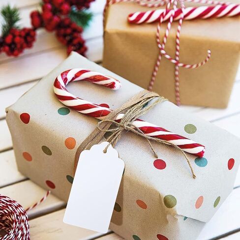 100 PCS Kraft Paper Gift Tags with String Blank Tags Vintage Wedding Favor Hang Tags with 66 Feet Natural Jute Twine Retangle Tags for Crafts in Kuwait