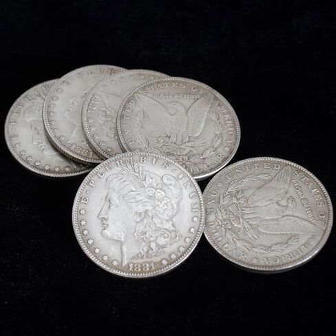 6 Pcs Morgan Dollar (3.8cm Dia) Magic Set Can Be Attracted by Magnets Magic Props Accessories Used in Appearing/Disappearing Coin Magic Performance in Saudi Arabia