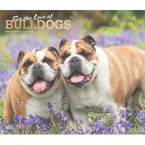 For the Love of Bulldogs | 2025 14 x 24 Inch Monthly Deluxe Wall Calendar | Foil Stamped Cover | BrownTrout | Animal Dog Breeds