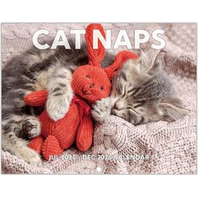 2025-2026 Calendar, Cat Naps Calendar 2025-2026 Wall. Jul 2025 - Dec 2026, 11" x 17" (Open), 18-Month Sleeping Kittens Wall Calendar, Unruled Blocks, Thick Paper, Hanging Holes, Ample Writing Space
