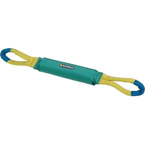 Ruffwear, Pacific Loop Dog Toy, Interactive Tug Toy for Playing and Training, Aurora Teal