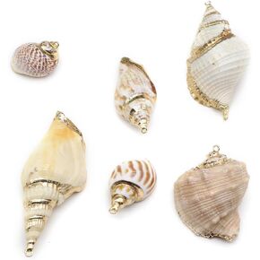 20pcs Natural Shell Pendants Spiral Conch Shell Beach Cowrie Sea Shells Charms Jewelry Charms Ocean Beach Dangle Beads for Nautical Ocean Summer Jewelry Craft Making