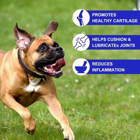 ALIVO Hip & Joint Glucosamine Drops for Dogs, Supports Joint Health, Dog Joint Pain Relief Treats - Enhances Mobility Support, Joint Supplement for Dogs, Bacon Flavor - 60ml / 2 fl.oz in Saudi Arabia