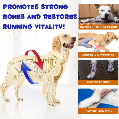 ALIVO Hip & Joint Glucosamine Drops for Dogs, Supports Joint Health, Dog Joint Pain Relief Treats - Enhances Mobility Support, Joint Supplement for Dogs, Bacon Flavor - 60ml / 2 fl.oz in Saudi Arabia