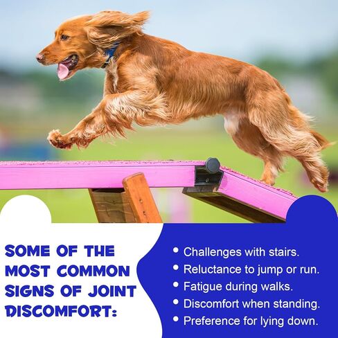 ALIVO Hip & Joint Glucosamine Drops for Dogs, Supports Joint Health, Dog Joint Pain Relief Treats - Enhances Mobility Support, Joint Supplement for Dogs, Bacon Flavor - 60ml / 2 fl.oz in Saudi Arabia