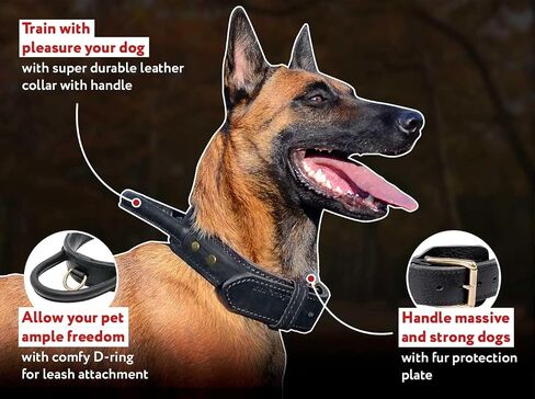 Genuine Leather Dog Collar with Rolled Handle, 1.5" Wide Black Adjustable Collar for Large Breeds - Heavy Duty for Walking & Training, Large in Saudi Arabia