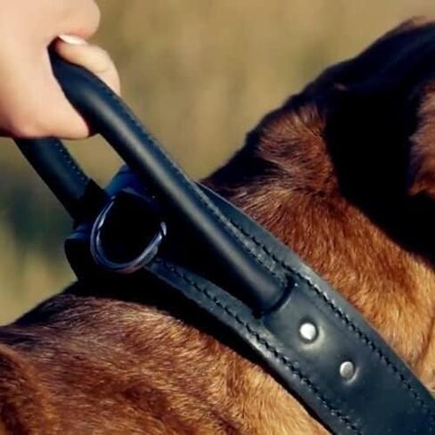 Genuine Leather Dog Collar with Rolled Handle, 1.5" Wide Black Adjustable Collar for Large Breeds - Heavy Duty for Walking & Training, Large in Saudi Arabia