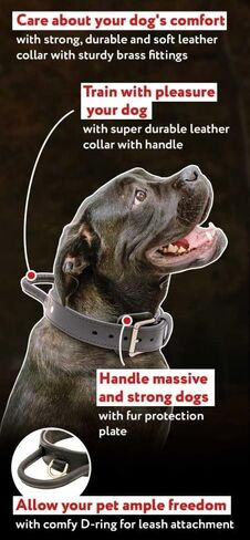 Genuine Leather Dog Collar with Rolled Handle, 1.5" Wide Black Adjustable Collar for Large Breeds - Heavy Duty for Walking & Training, Large in Saudi Arabia