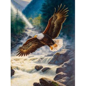 VAIIEYO Diamond Art Kits for Adults Eagle, Diamond Painting Birds Animal, Full Drill Round Rhinestone Craft Canvas for Home Wall Decor Gift 12x16 inch