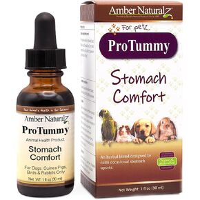 Amber NaturalZ ProTummy Stomach Comfort Herbal Blend for Dogs, Bird, Guinea Pigs, and Rabbits | Herbal Supplement for Occasional Upset Stomach | 1 Fluid Ounce Glass Bottle | Manufactured in The USA