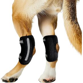 Dog Knee Brace for Rear Leg Torn ACL, Canine Rear Hock Joint Support, Joint Injury and Sprain Protection, Removable Design, Comes with 4 Spring Bars and 4 Steel Bars (L Pair)