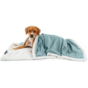 Best Friends by Sheri Premium Self-Warming Ilan Microfiber Faux Fur Pet Throw Blanket 40x50 in Tide Pool