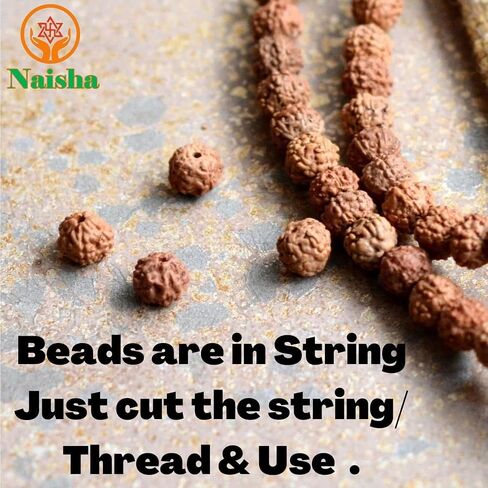 Naisha Natural Rudraksh 165 قطعة فضفاضة Rudraksha Beads Mala ، حبات صلاة في جبال الهيمالايا الأصلية ، حبات بودي 8-14 ملم من صنع المجوهرات ، DIY كبيرة 4 حبات مختلفة الحجم in Kuwait