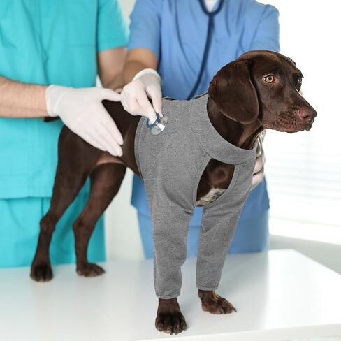 Kuoser Recovery Sleeve for Dogs Front Leg Protection After Surgery, Dog Elbow Protector for Small Medium Large Dogs, Dog Joint Leg Sleeve Prevent Licking Wound Dog Cone Alternative, Gray XXXL in Saudi Arabia