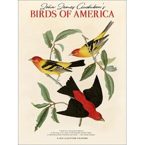 Audubon’s Birds of America Deluxe Wall Calendar 2025