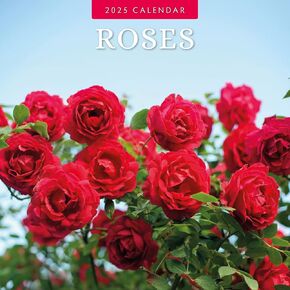 Red Robin 2025 Roses Monthly Wall Calendar | 12" x 24" Open | Premium Thick & Sturdy Paper | Hangable 12 Month Calendar | Plastic Free | 4 Month Transition Page for 2024