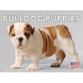 Bulldog Dog Puppy 2025 Calendar | American Made In The USA