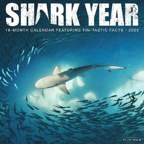Willow Creek Press Shark Year Monthly 2025 Wall Calendar (12" x 12")