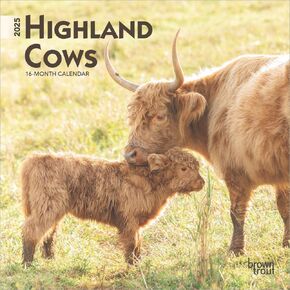 Highland Cows | 2025 7 x 14 Inch Monthly Mini Wall Calendar | BrownTrout | Domestic Farm Animals