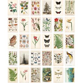 Nature Collection Postcard Set: Pack of 30 Retro Style Botanical, Nature and Birds Postcards