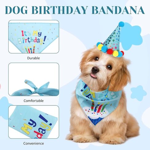 Jeffdad Dog Birthday Party Supplies, Boy Girl Dog Birthday Hat Puppy Tie Numbers Pet Theme Birthday Decorations Suit for Dog Birthday Party Decorations (Blue) in Saudi Arabia