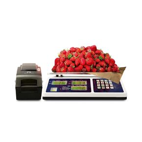 Penn Scale CM-101 NTEP Certified Scale for Digital Price Computing - 30lb Commercial Scale with 0.01lb Readability - Rechargeable Battery, Dual LCD Display & Removable Platter (COC #04-101A1)
