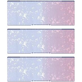 Blank Checks Paper Stock-3 Checks On A Page-100/Box (Blue Marble)