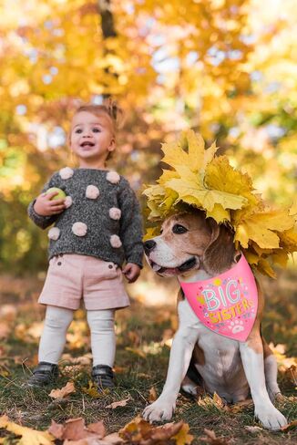Big Sister Dog Bandana with Snap Button - Pink Silky Satin Pet Scarf, Baby Announcement Accessories for Dogs, Gender Reveal Photo Prop, Stylish Pet Gift (Large) in Saudi Arabia