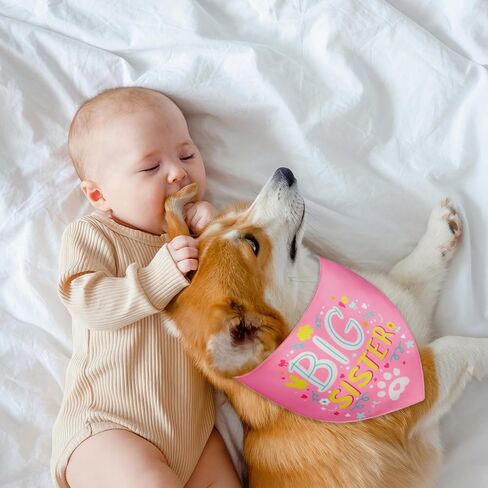 Big Sister Dog Bandana with Snap Button - Pink Silky Satin Pet Scarf, Baby Announcement Accessories for Dogs, Gender Reveal Photo Prop, Stylish Pet Gift (Large) in Saudi Arabia