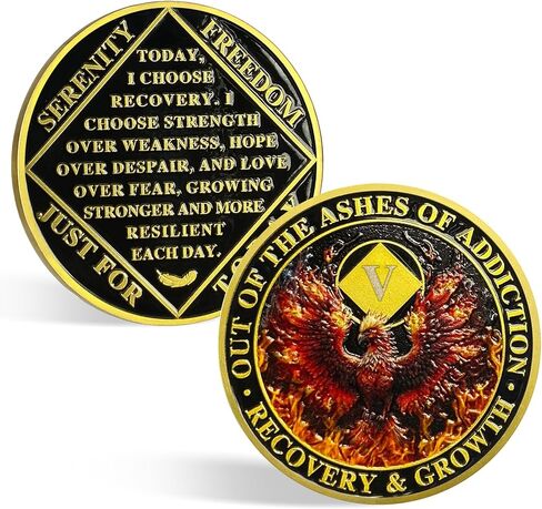 CHURYUML 6 Year NA Medallions Phoenix Recovery Chip Out of The Ashes of Addiction NA Sobriety Coin Narcotics Anonymous Gifts Sobriety Addiction Recovery Gifts Narcotics Anonymous Coin in Kuwait