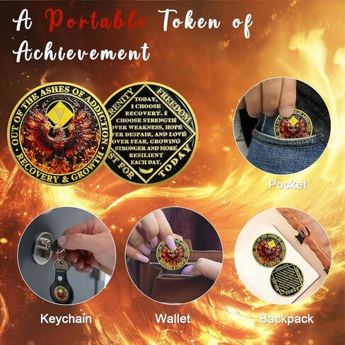 CHURYUML 6 Year NA Medallions Phoenix Recovery Chip Out of The Ashes of Addiction NA Sobriety Coin Narcotics Anonymous Gifts Sobriety Addiction Recovery Gifts Narcotics Anonymous Coin in Kuwait
