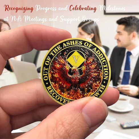 CHURYUML 6 Year NA Medallions Phoenix Recovery Chip Out of The Ashes of Addiction NA Sobriety Coin Narcotics Anonymous Gifts Sobriety Addiction Recovery Gifts Narcotics Anonymous Coin in Kuwait