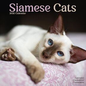 2025 Siamese Cats Wall Calendar ، 12x12 ، Avonside Publishing