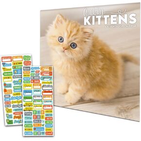 Cuddly Kittens Calendar 2025 - Deluxe 2025 Kittens Mini Calendar Bundle with Over 100 Calendar Stickers (Cat Gifts, Office Supplies)