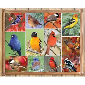 Springbok Puzzle to Remember - Alzheimer & Dementia Activity -100 Piece Jigsaw Puzzle Songbirds - Made in USA