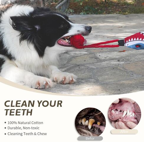 Tug of War Dog Toy for Pets That Like to Chew, with Spring-Loaded Bar and Comfort Handle, Durable Dog Toys, Indoor/Outdoor Dog Tug Toys in Saudi Arabia