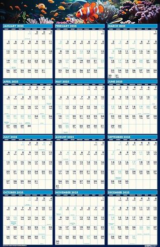 2025 House of Doolittle Earthscapes 24-inch x 37-inch Yearly Dry Erase Wall Calendar, Reversible (393-25) in Kuwait