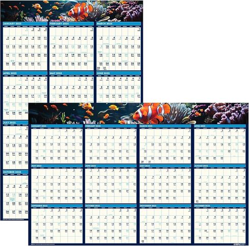 2025 House of Doolittle Earthscapes 24-inch x 37-inch Yearly Dry Erase Wall Calendar, Reversible (393-25) in Kuwait