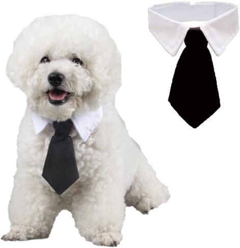 ANIAC Small Dog Wedding Collar Cat Bow tie for Cat Formal Dog Wedding Attire White Puppy Collar Dog Neckties Pet Tuxedo Costume for Cats Kitten Small Dogs (S, Red) in Saudi Arabia