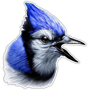 Blue Jay Sticker Bird Sticker - Car Bumper Vinyl Sticker Decal for Vehicles, Laptops, Windows, Skateboards, and Luggage - Durable and Weatherproof Stickers for Men and Women 4.5" sq93