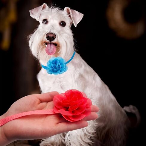6 Pcs Dogs Collar Flowers Bows for Small Dogs Kittens Three Flowers Glued to Elastic Collars Adjustable Puppy Collar Flowers Party Grooming in Saudi Arabia